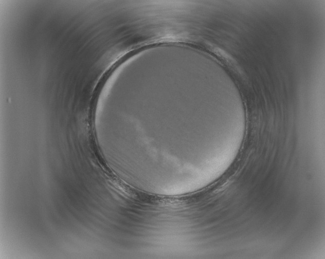 X0000063511170200602101918