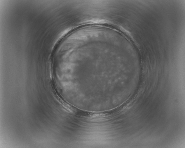 X0000063511171200602101918