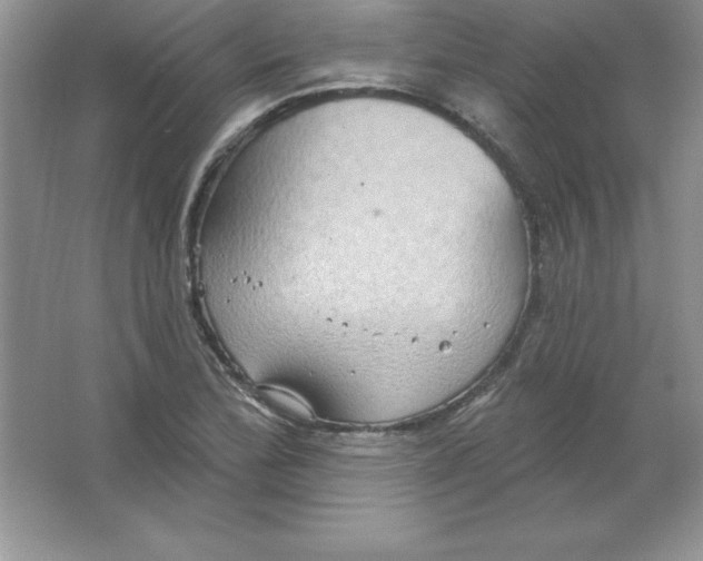 X0000063511172200602101918