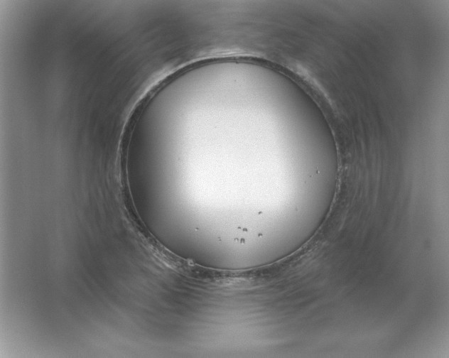 X0000063511173200602101918