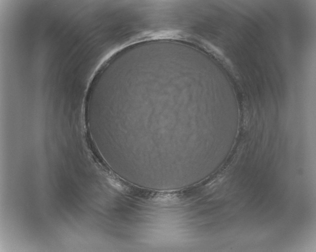 X0000063511174200602101918