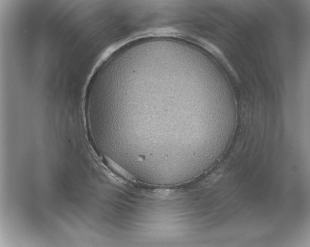 X0000063511176200602101918