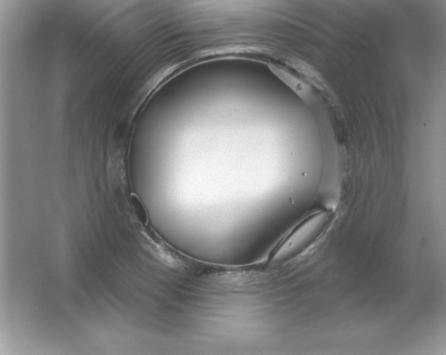 X0000063511177200602101917