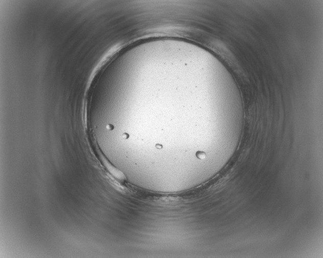 X0000063511180200602101917