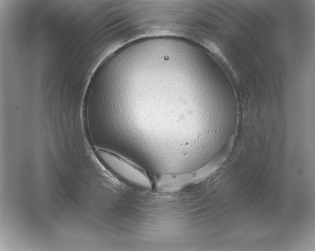 X0000063511181200602101917