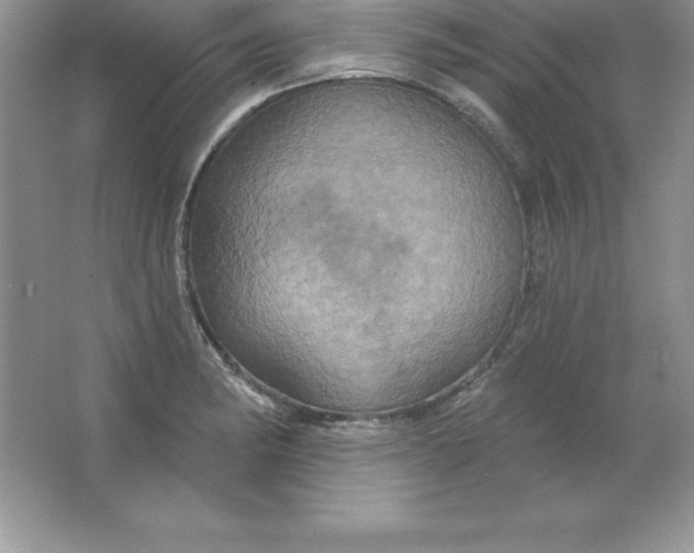 X0000063511182200602101917