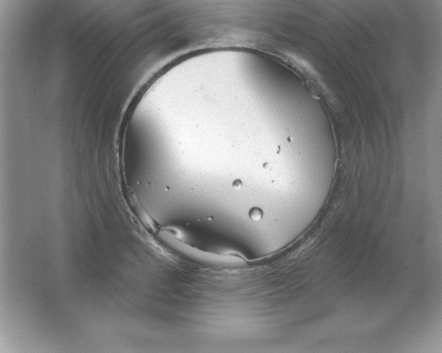 X0000063511184200602101917