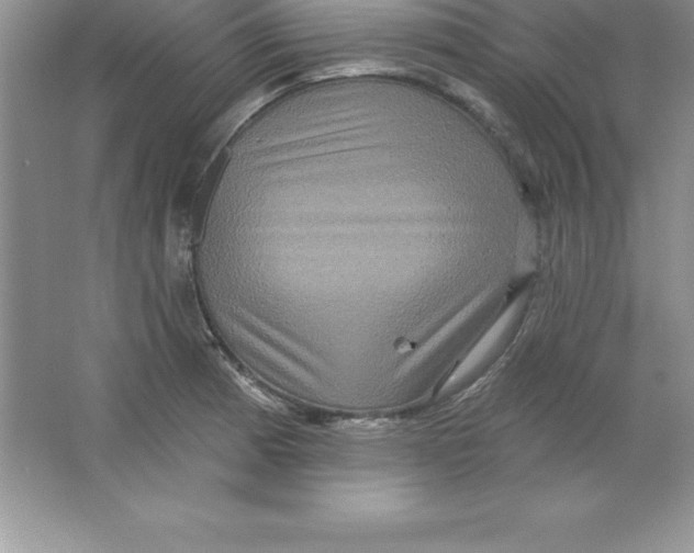 X0000063511185200602101917