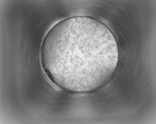 X0000063511187200602101917