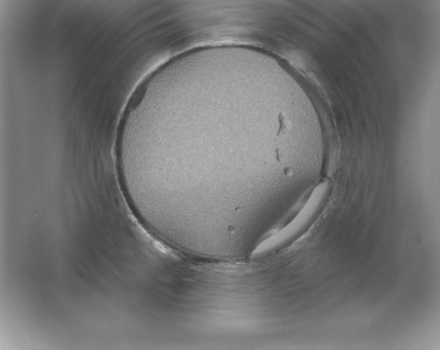 X0000063511189200602101917