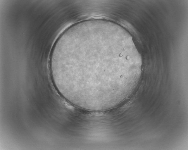 X0000063511190200602101917