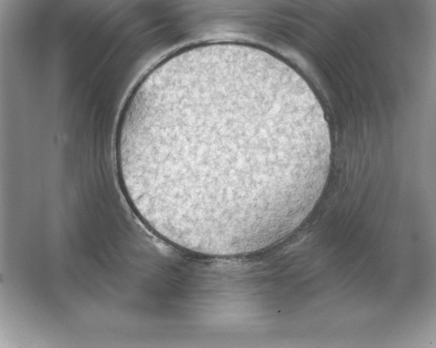 X0000063511191200602101917