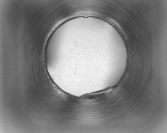 X0000063511192200602101917