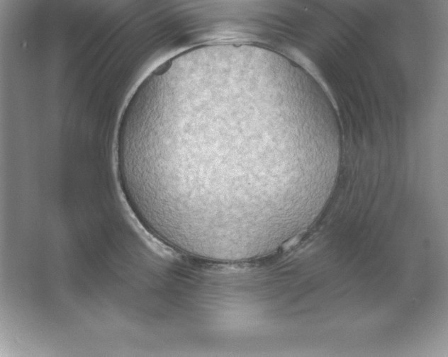 X0000063511195200602101917