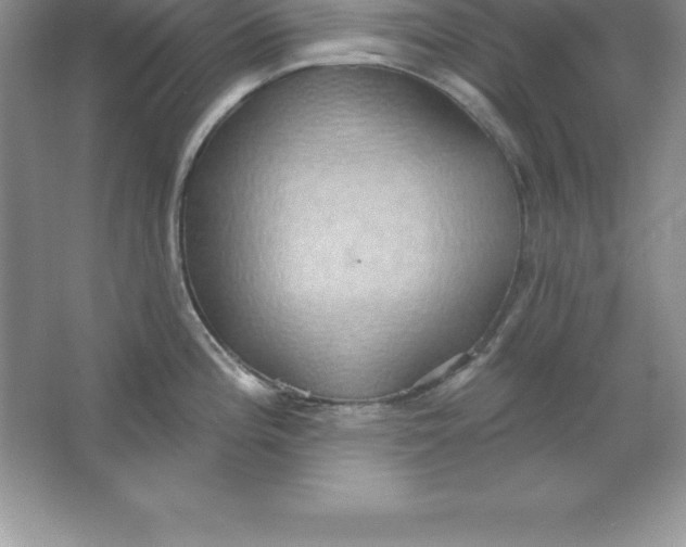 X0000063511196200602101917