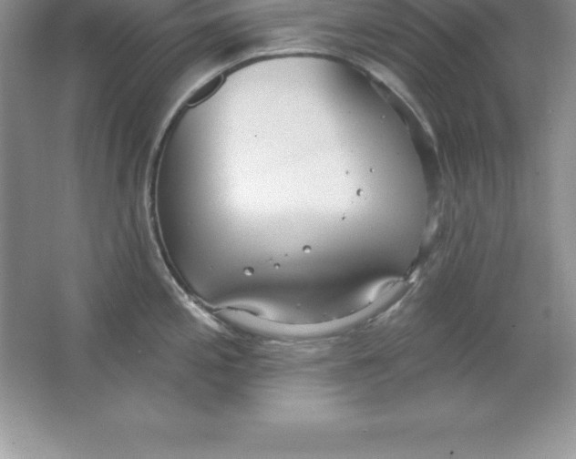 X0000063511197200602101917