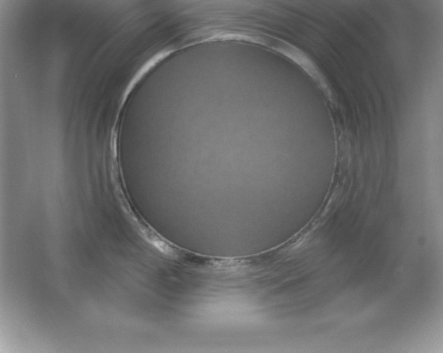 X0000063511198200602101917