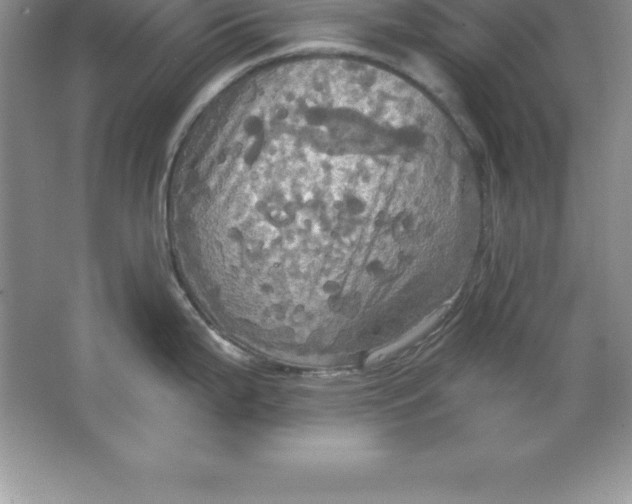 X0000063511199200602101917