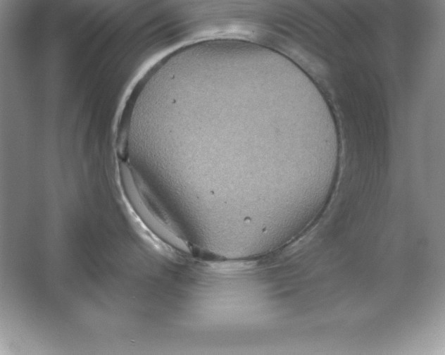 X0000063511200200602101917