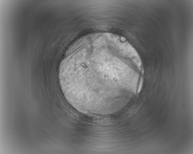 X0000063511201200602101916