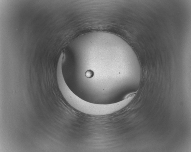 X0000063511202200602101916