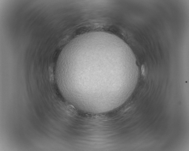 X0000063511203200602101916