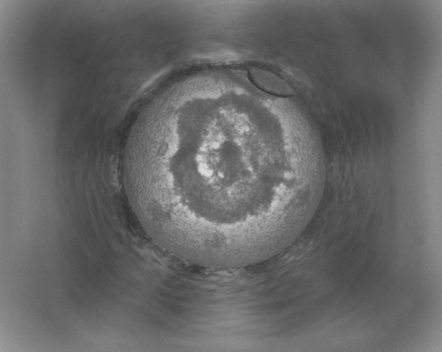 X0000063511205200602101916