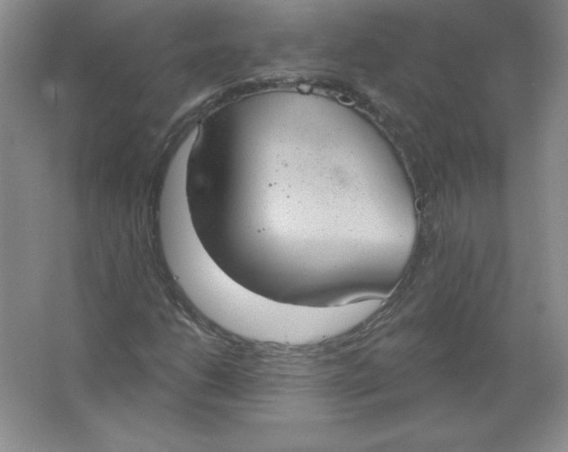 X0000063511206200602101916