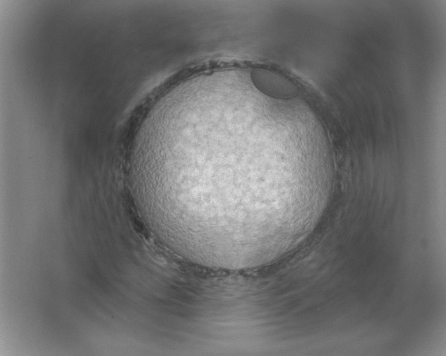 X0000063511207200602101916