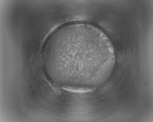 X0000063511208200602101916