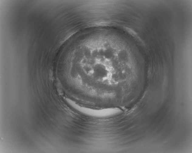 X0000063511209200602101916