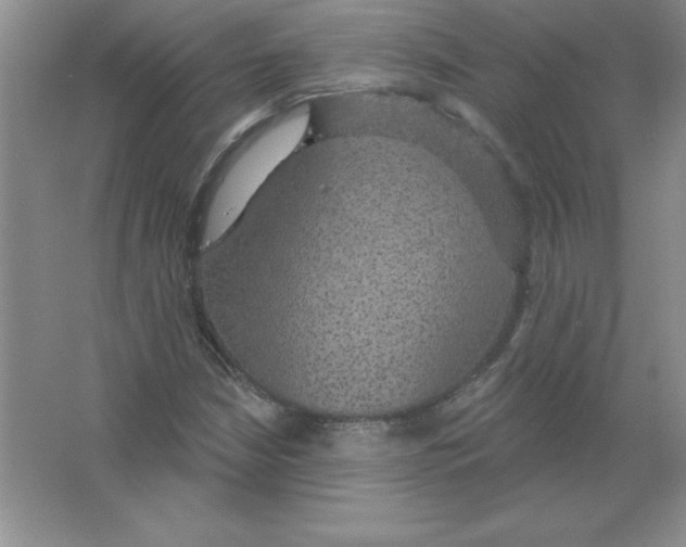 X0000063511210200602101916