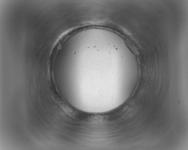 X0000063511214200602101917