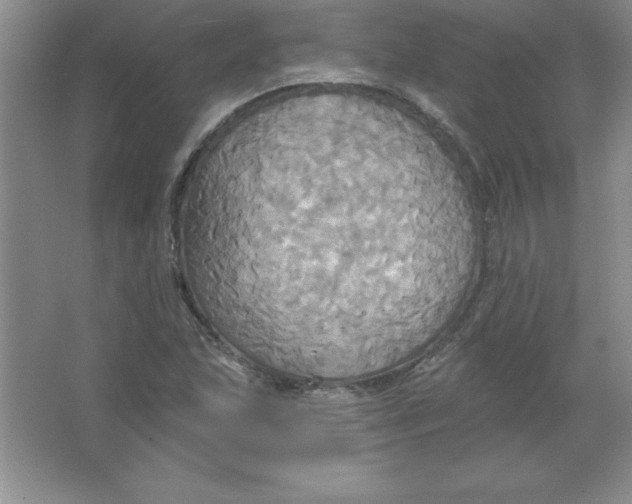 X0000063511215200602101917