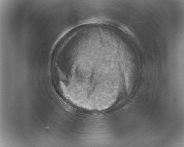 X0000063511216200602101917