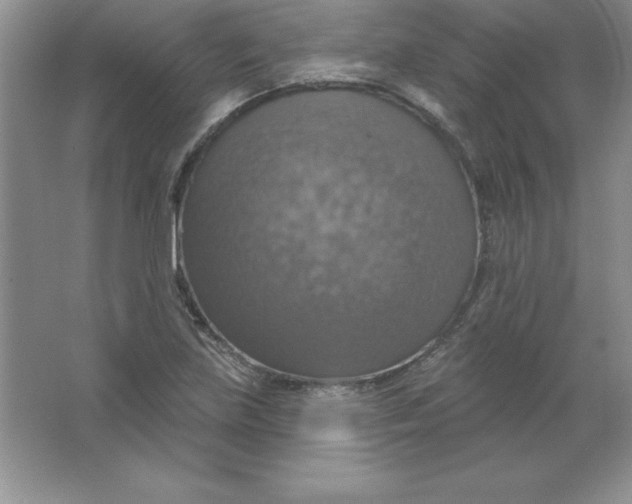 X0000063511219200602101917