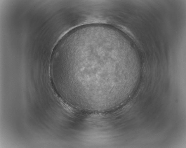 X0000063511220200602101917