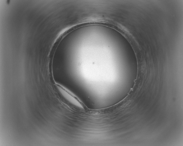 X0000063511222200602101917