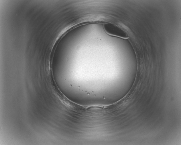 X0000063511226200602101917