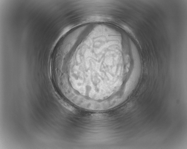 X0000063511227200602101917