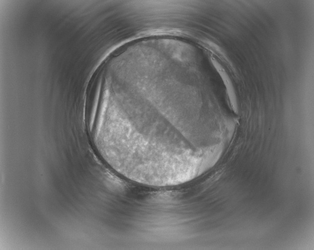 X0000063511228200602101917