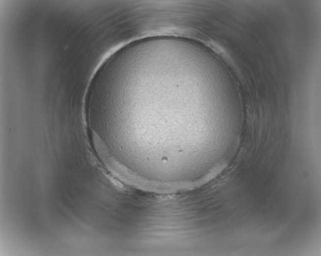 X0000063511230200602101917