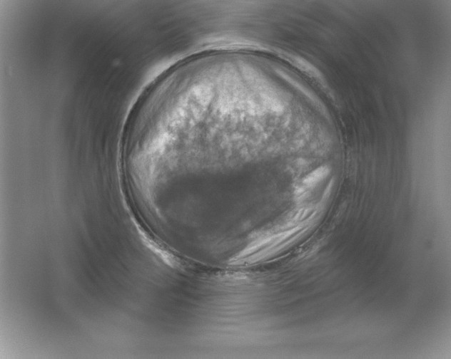 X0000063511231200602101917