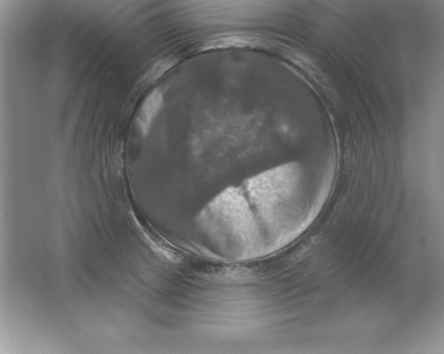 X0000063511233200602101917