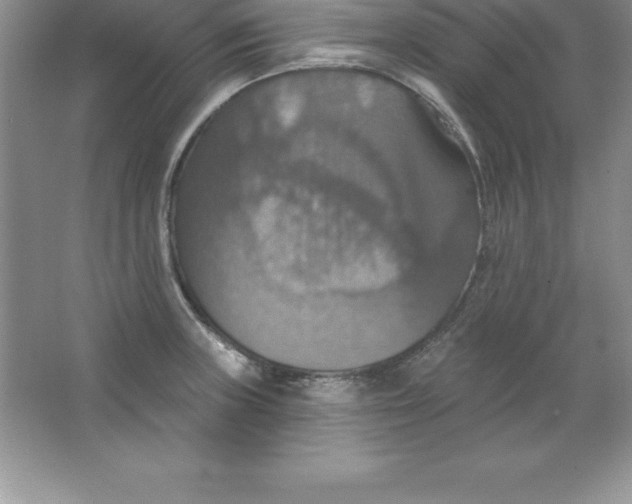 X0000063511235200602101917