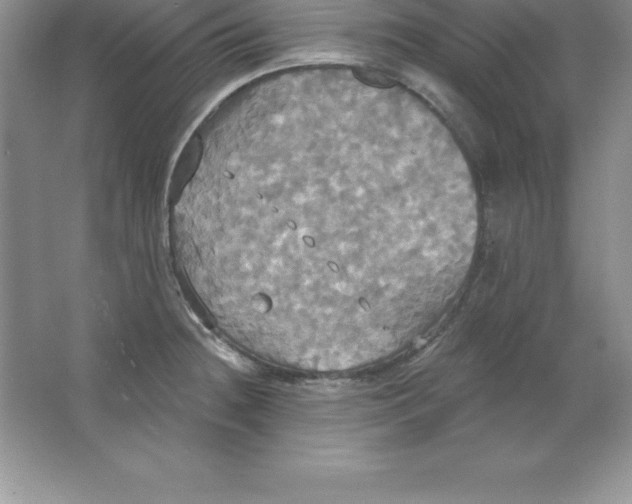 X0000063511236200602101917