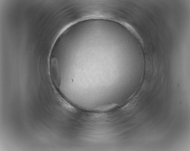 X0000063511238200602101917