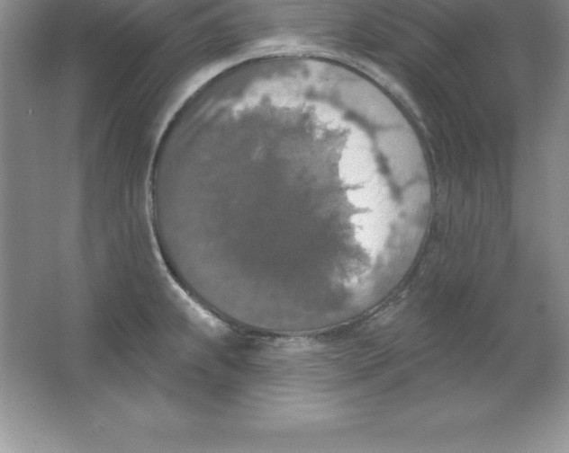 X0000063511239200602101917