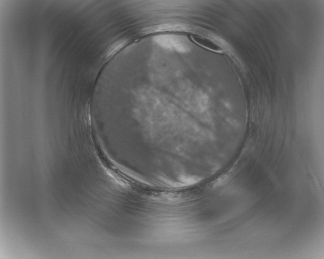 X0000063511241200602101917