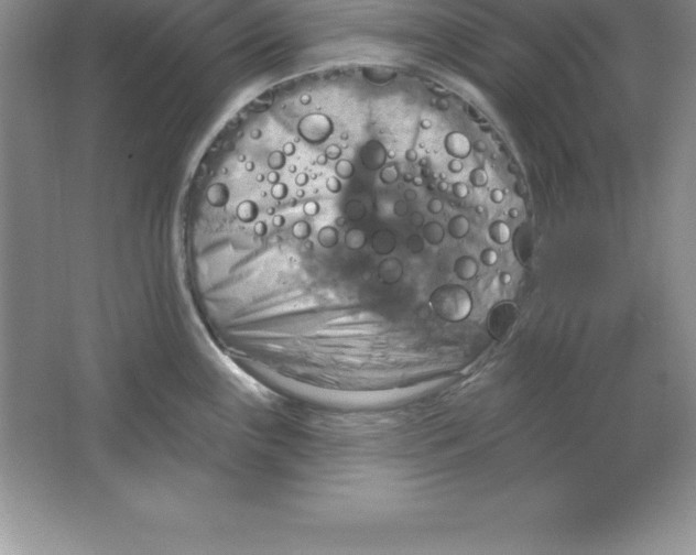 X0000063511243200602101917